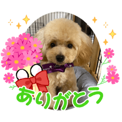 RINGO_20210923161154