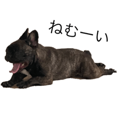 Hikari_20210927130008