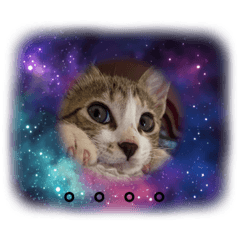 MIKI_20210923170504