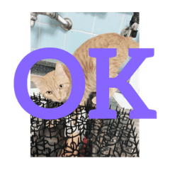 NATSUMI_20210927203909