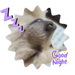 kaito_20210927213248