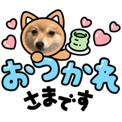 kaito_20210927221035