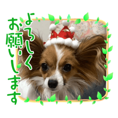 miki_20210927235619