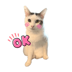 saori_20210928015113