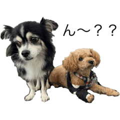 Hikari_20210928080959