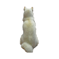 akiko_20210923220739