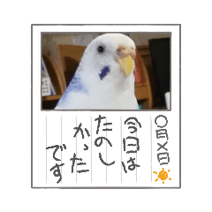 matsu_20210923231455