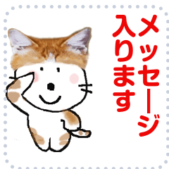 Message Sticker of Cyatora Cat