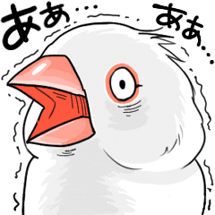 2nd type Sticker to animate Java sparrow