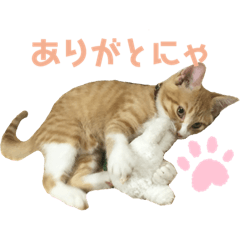 nanami_20210924074622