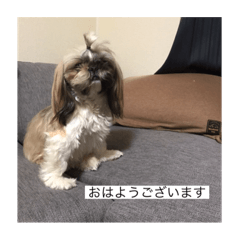 HANA_20210928133310