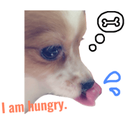 takku.