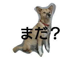 RipRipRipRip