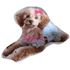 hana_20210924211012