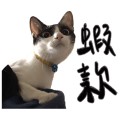 YUN_20210927232602