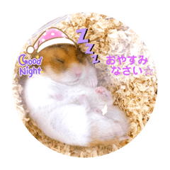 RINA_20210926211303