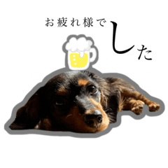 yamada_20210925101839