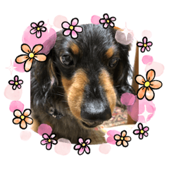 Junko_20210925082721