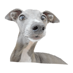 UNA&nbsp; &nbsp;LIFE