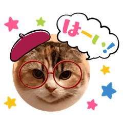 ringo_20210925091512