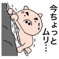 Boo-chan1