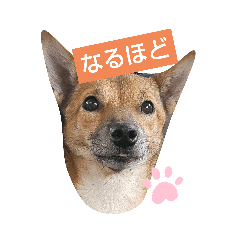 tomomi_20210928151909