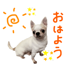 nanami_20210925023429