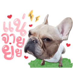 Iamnook_20210928021917