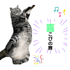 ゆかいな猫ちゃんたちだぜ