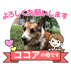 miki_20210928205717