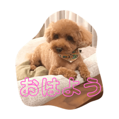hana_20210928212904