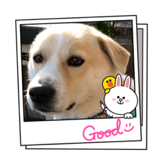 tomomi_20210928231014