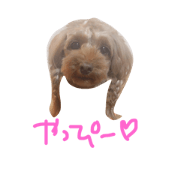 pi!
