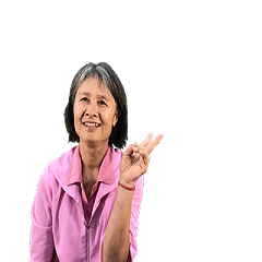 Cute Stickers formaya Series