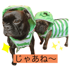 Aoi_20210925185406