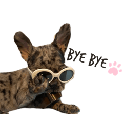 sayuri_20210925194307