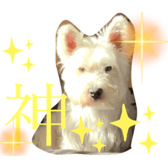 momoko_20210929111224