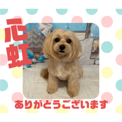 HappyBathPepのお友達　Ｊ