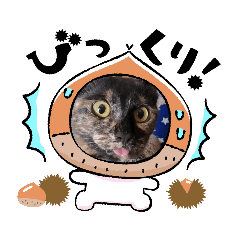 kaito_20210928214717