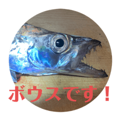 魚三昧ver10