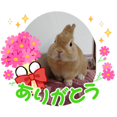 satoshi_20210925221759