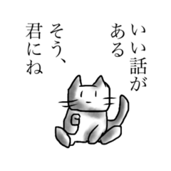 Chatting white cat