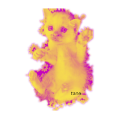 tane_20210928214658