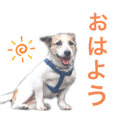 Rina_20210925235212