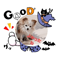 akiko_20210926123628