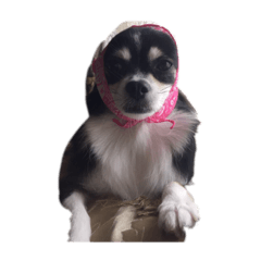 Hikari_20210926122521