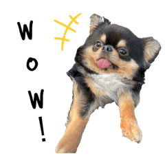 yun_20210926013616