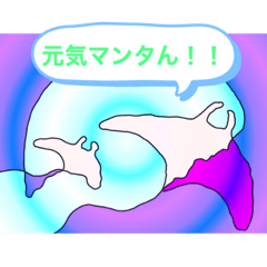 Nobo_20210926123452