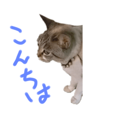 d_20210925222036