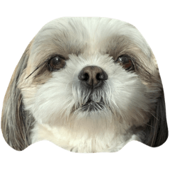 mizuki_20210925214209